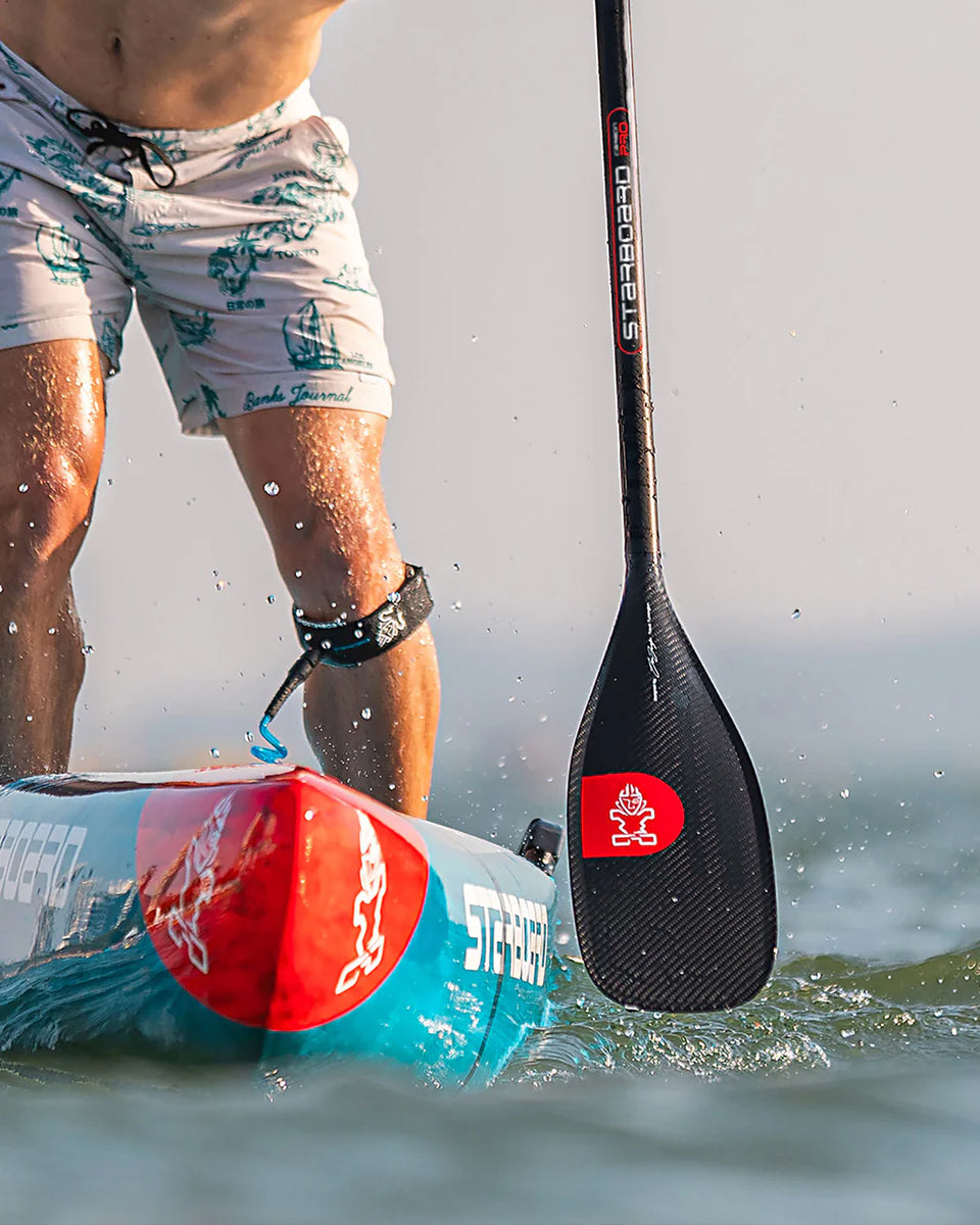 ford　SUP Starboard STARBOARD カーボンパドル ベロシティパドル パドル スターボード 美品 パドル VELOCITY サーフィン・ボディボード